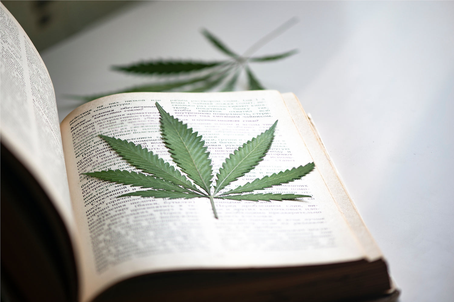 Livres sur le Cannabis et le Chanvre